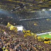 Reliability in Europe's Elite: What Bettors Must Know About UCL Consistency